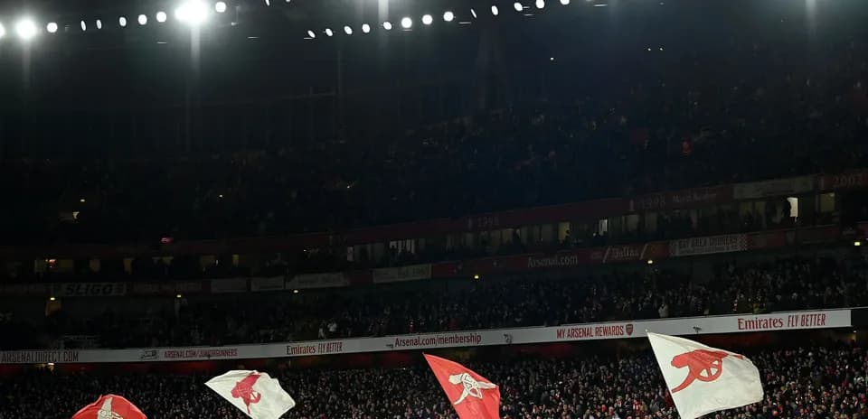 Fans waving flags at Emirates Stadium during match