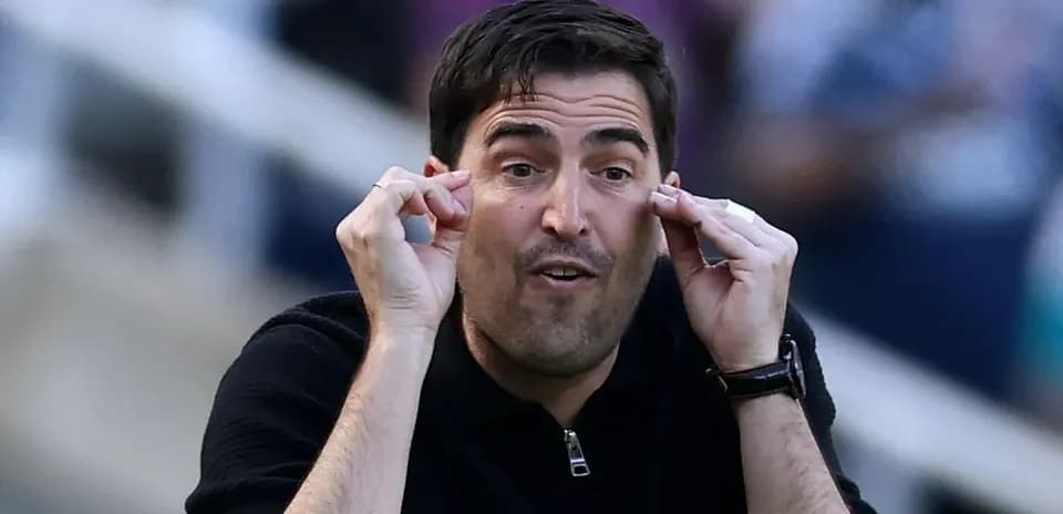 Coach gesturing during a football match