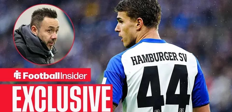 Player wearing Hamburger SV jersey with number 44