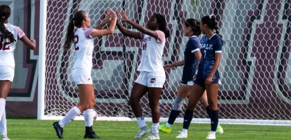 Players celebrating a goal during soccer match