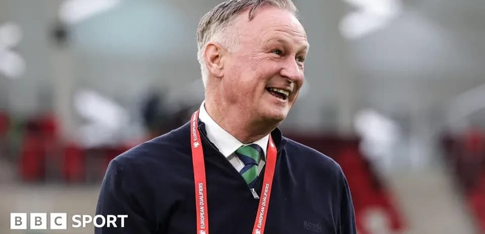 Manager smiling during European Qualifiers event