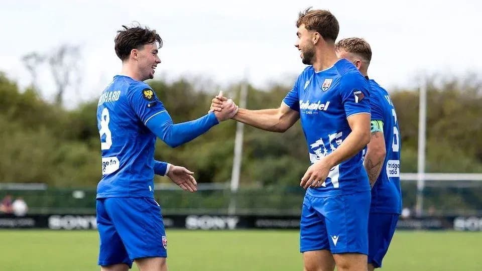 Players celebrating with handshake on the pitch
