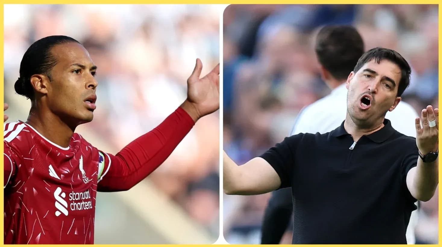 Virgil van Dijk and coach gesturing during match
