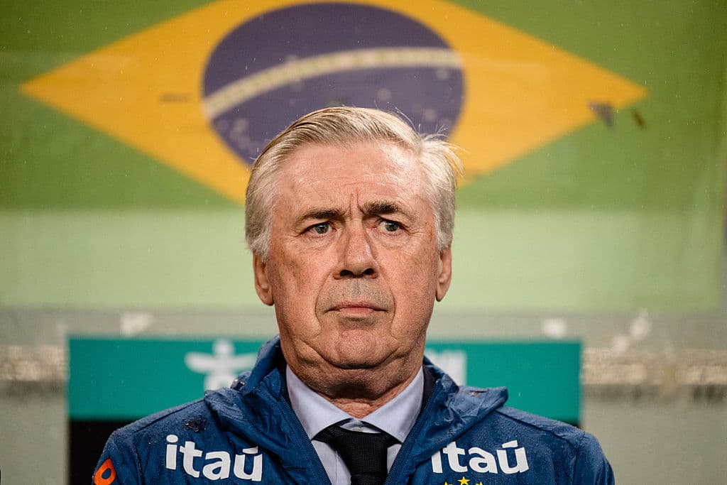 Coach with Brazil flag in background during match Coach with Brazil flag in background during match