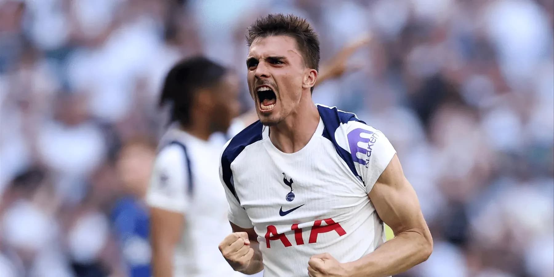 Tottenham player celebrating during Premier League match Tottenham player celebrating during Premier League match