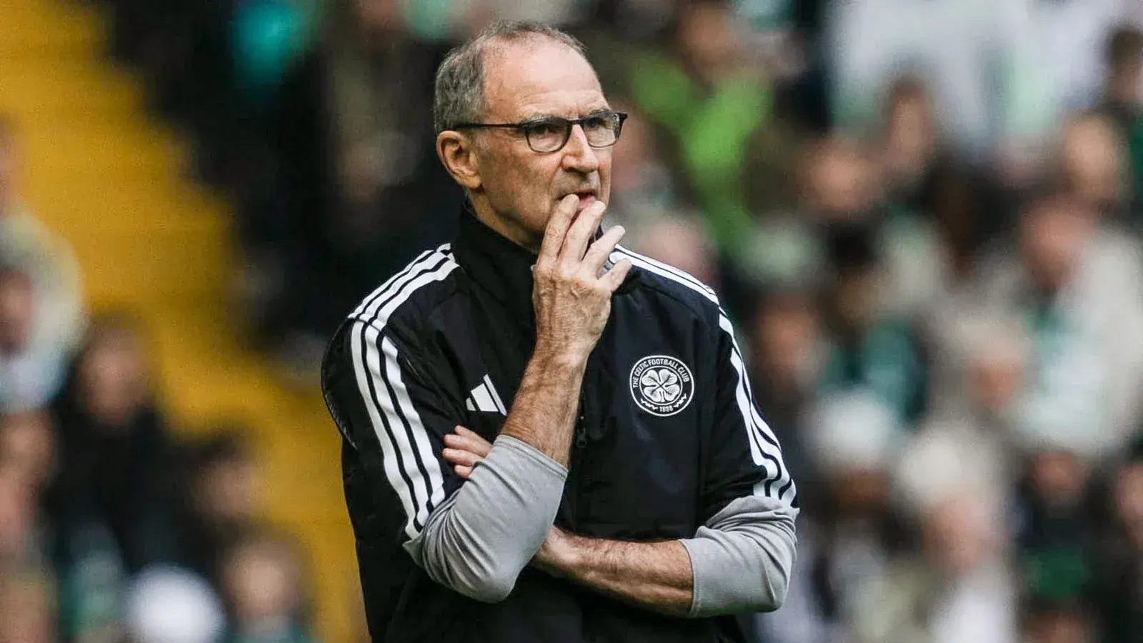 Manager observing match from the sidelines Manager observing match from the sidelines