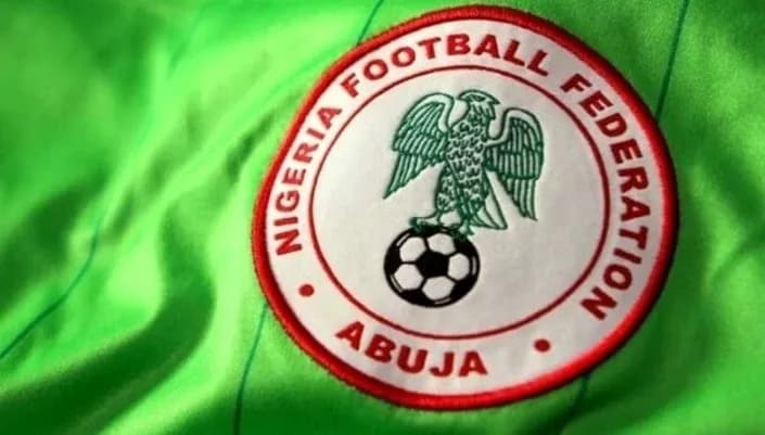 Nigeria Football Federation logo on green jersey Nigeria Football Federation logo on green jersey