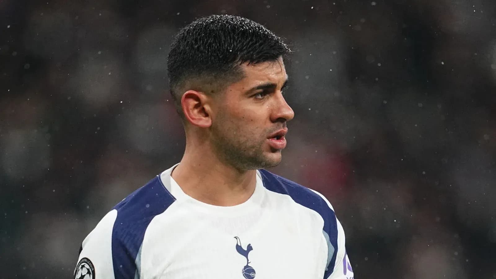 Player in Tottenham jersey during match Player in Tottenham jersey during match