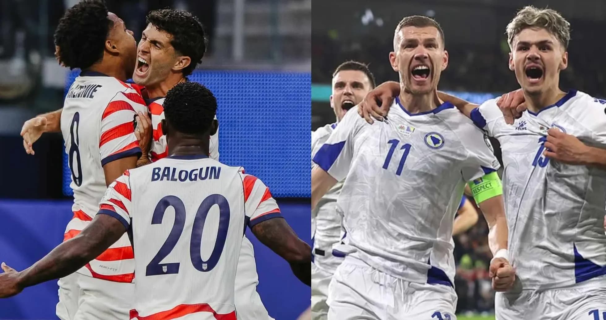 USA and Bosnia players celebrating goals USA and Bosnia players celebrating goals