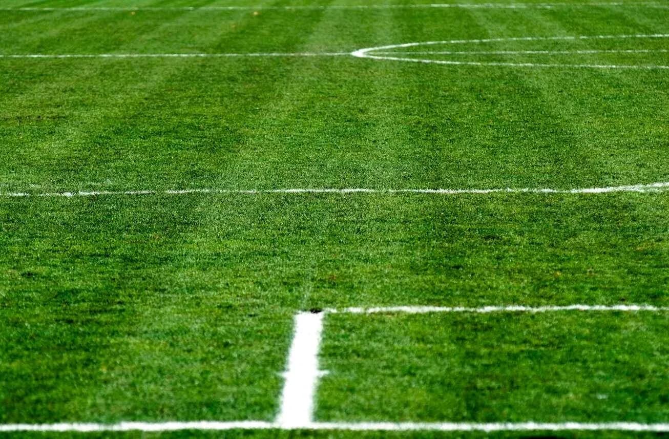 Close-up of a football pitch with markings Close-up of a football pitch with markings