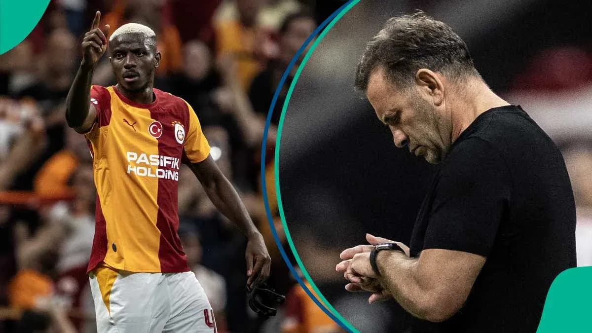 Player celebrating during match; coach looking at watch Player celebrating during match; coach looking at watch