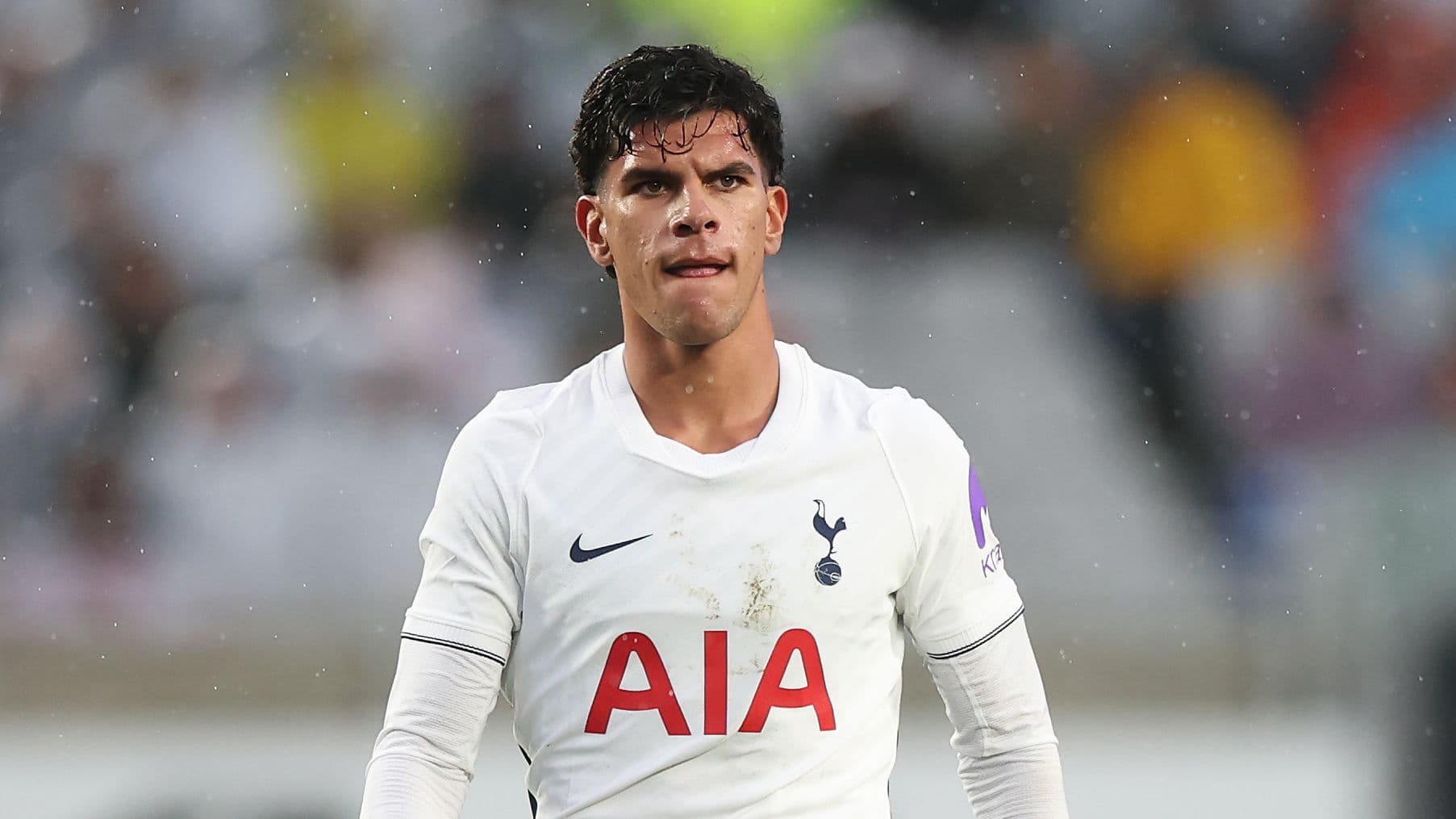 Why Tottenham Left Out £85m Mateus Fernandes Against Sydney FC Amid Injury Speculation Why Tottenham Left Out £85m Mateus Fernandes Against Sydney FC Amid Injury Speculation