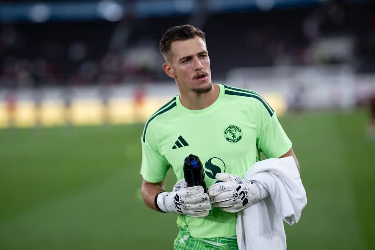 Radek Vitek Radek Vitek